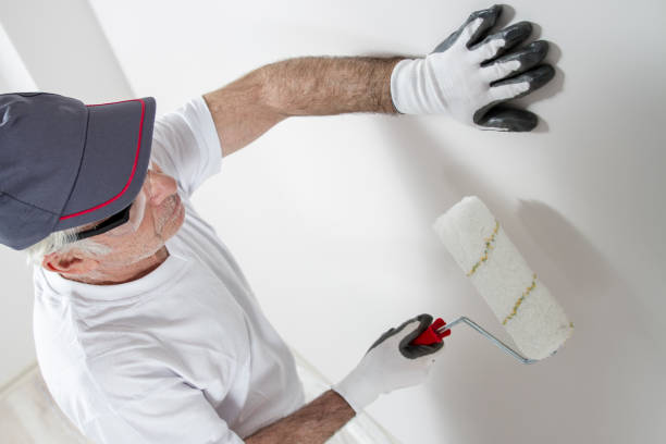  Home, WA Mold Removal Pros