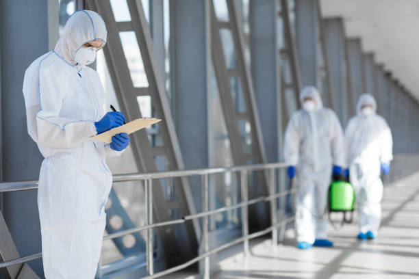 Trusted Home, WA Mold Removal Experts
