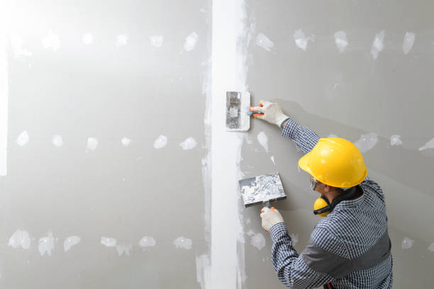 Best Mold Removal for HVAC Installations  in Home, WA