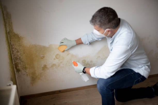 Best Crawl Space Mold Remediation  in Home, WA