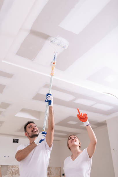 Best Asbestos and Lead Testing During Mold Inspection  in Home, WA