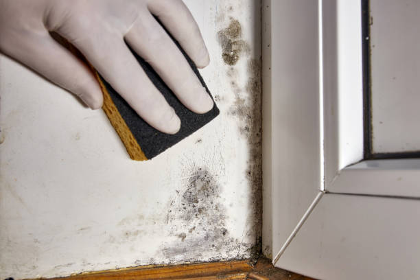 Best Indoor Air Quality Assessment  in Home, WA