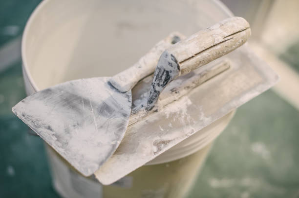 Best Black Mold Removal  in Home, WA