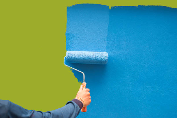 Mold Documentation for Insurance Claims in Home, WA